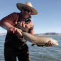 Lahontan Cutthroat — 